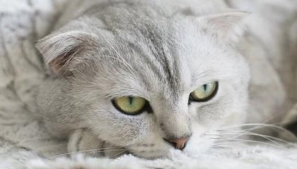 和县伴游,定制QQ:3494206190微信:act1322